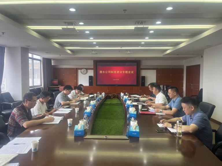 公司召开制度建设专题会议