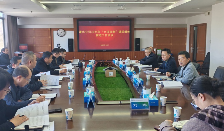 公司召开“六项机制”提质增效推进工作会