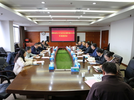 湖南省电力行业协会来公司调研座谈