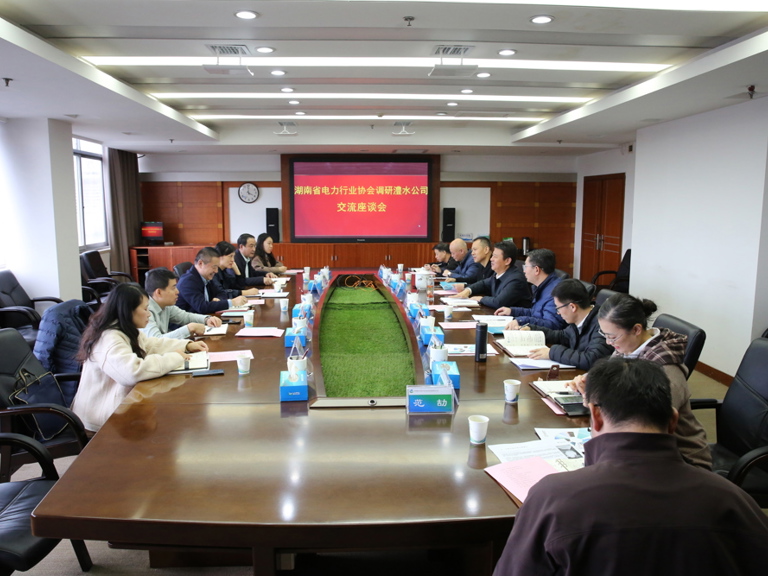 湖南省电力行业协会来公司调研座谈