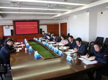 澧水公司党组传达学习贯彻2026年全国水利工作会议精神