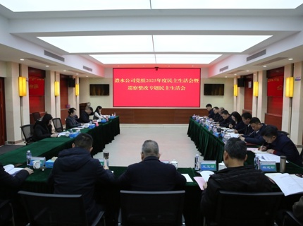 任红梅指导澧水公司党组2025年度民主生活会暨巡察整改专题民主生活会