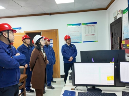 陈印辉到江垭水电站开展汛前安全检查