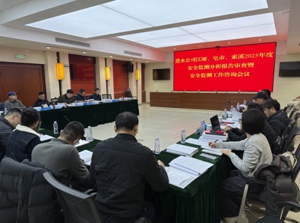 公司召开江垭、皂市、索溪水库2025年度安全监测报告审查暨安全监测工作咨询会议