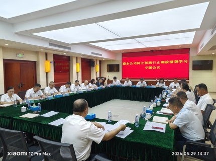 公司召开树立和践行正确政绩观学习教育专题会