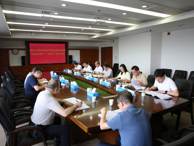 澧水公司党组召开2026年第一次全面从严治党专题会商会暨党组成员落实“一岗双责”情况汇报会