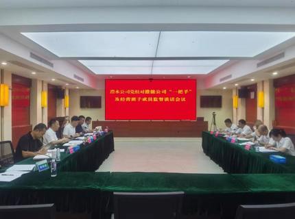 徐磊对澧能公司“一把手”及经营班子开展监督谈话